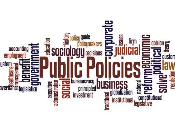 Services-Govt & Public Sector Consulting